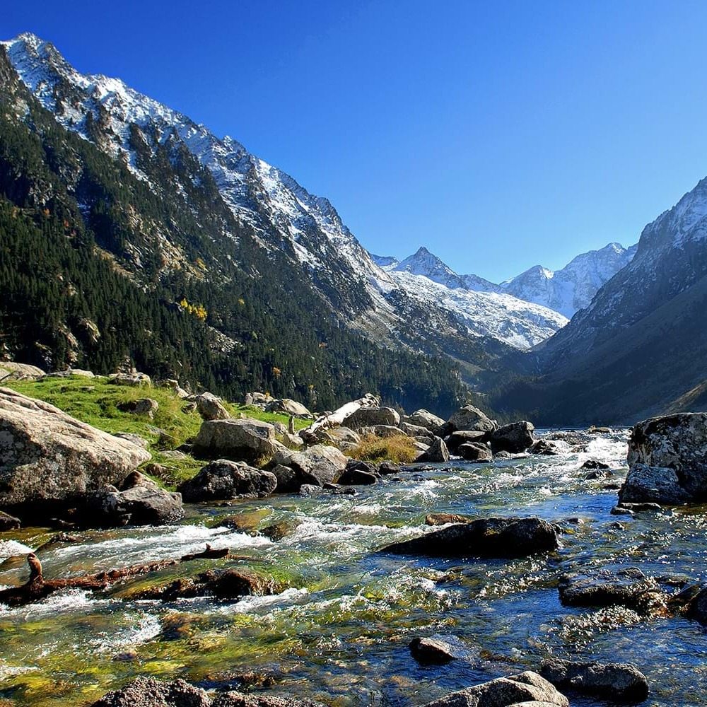 Photo de Danièle CARLIER